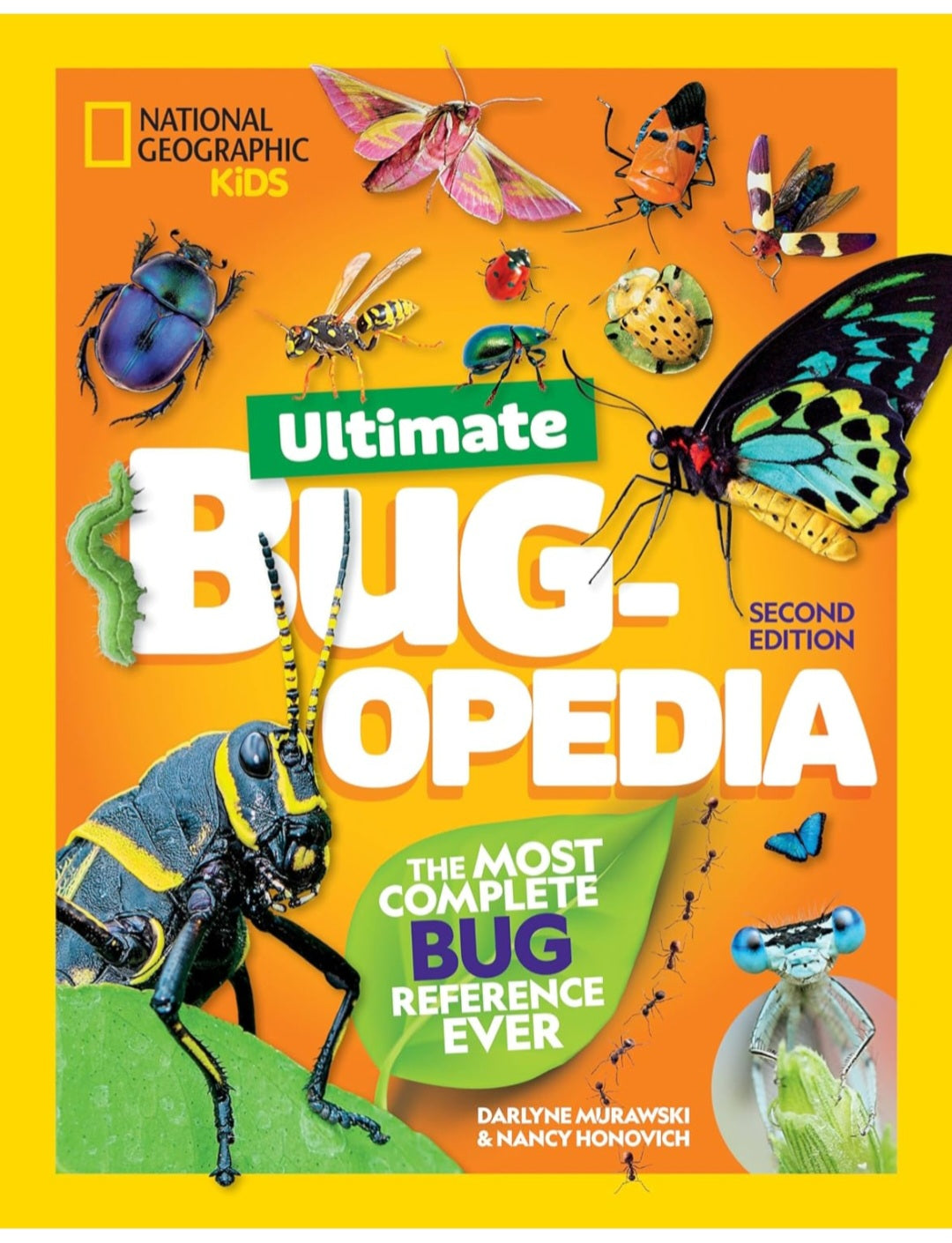Insects and Bugs Book Bundle