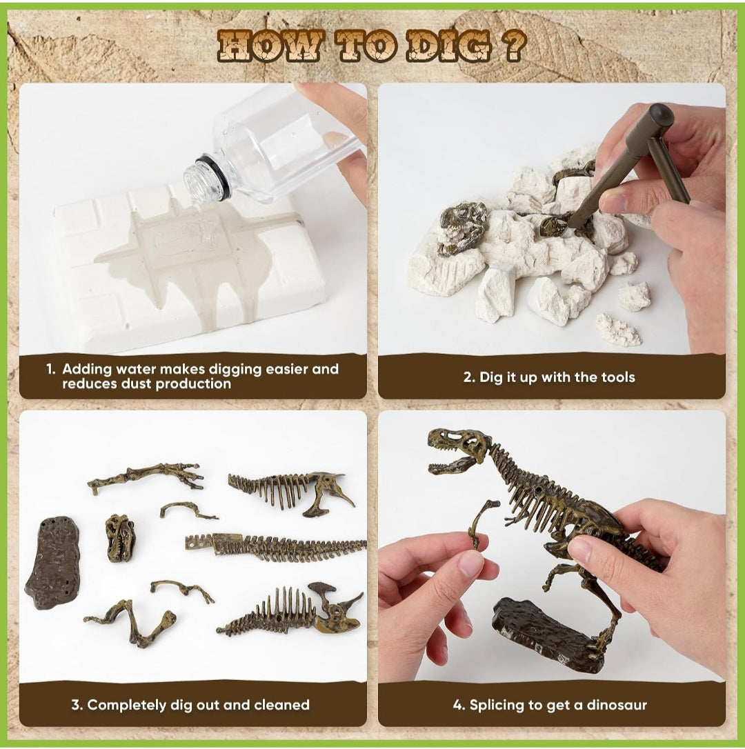 Dinosaur Study Kit
