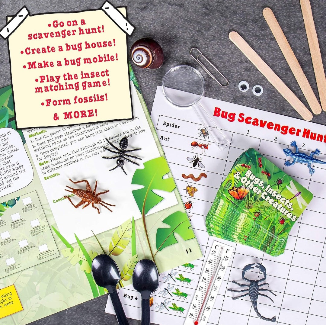 Bugs & Insects Science Kit|  Hands-On Nature & STEM (Magic School Bus Rides Again)