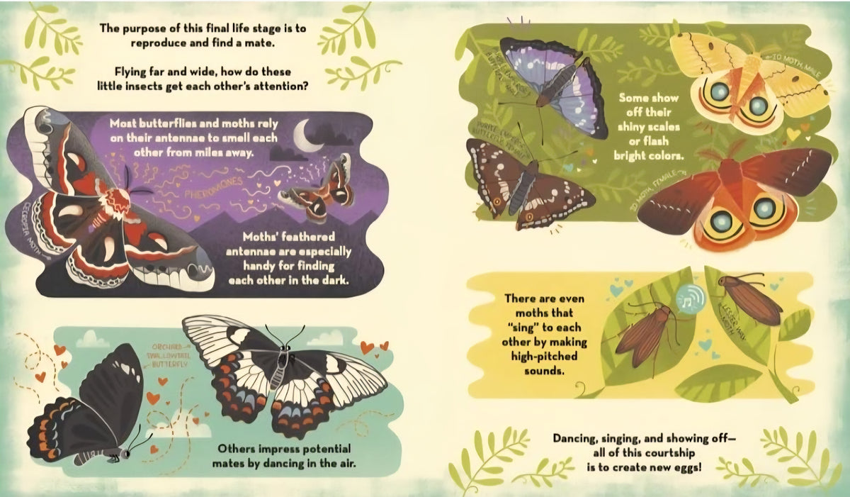 What's Inside? Nature & Life Cycles Book Bundle | 3 Illustrated Science Books by Rachel Ignotofsky|Paperback or Hardcover