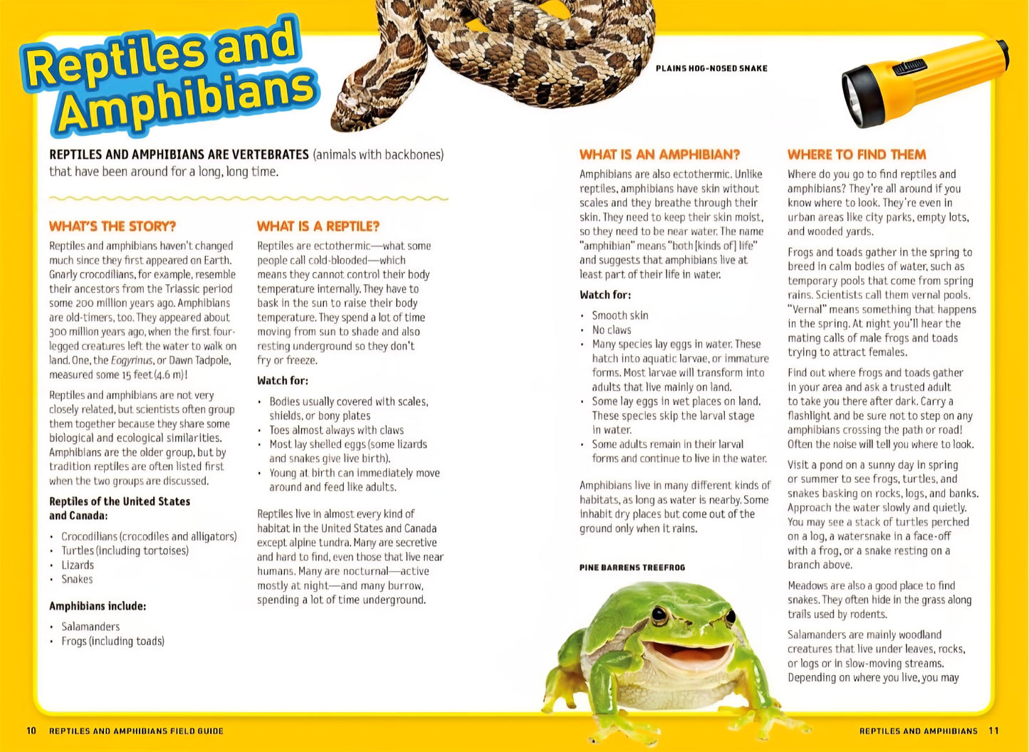 Reptiles & Amphibians Book Bundle