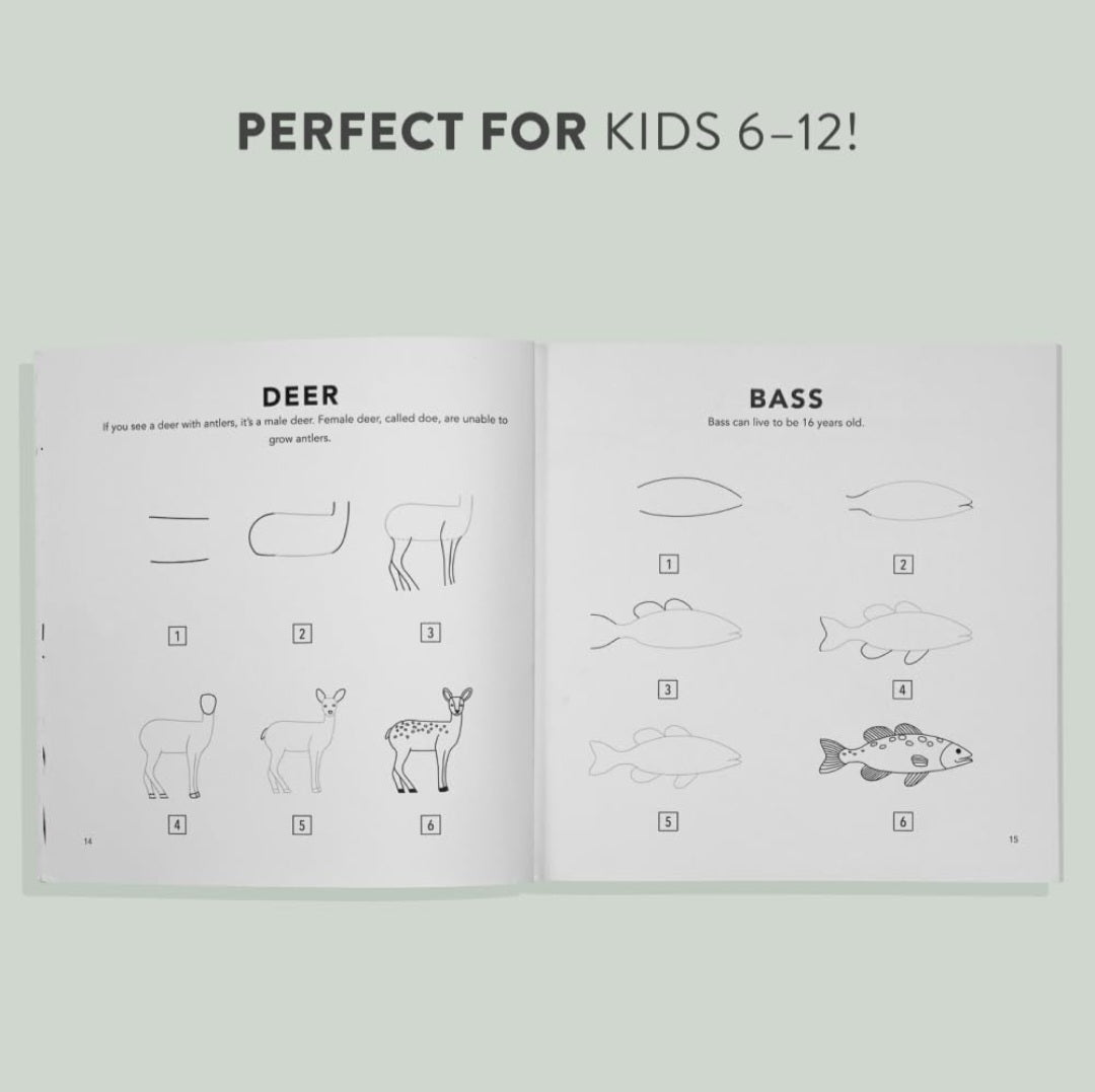 How To Draw Woodland Creatures Activity Book