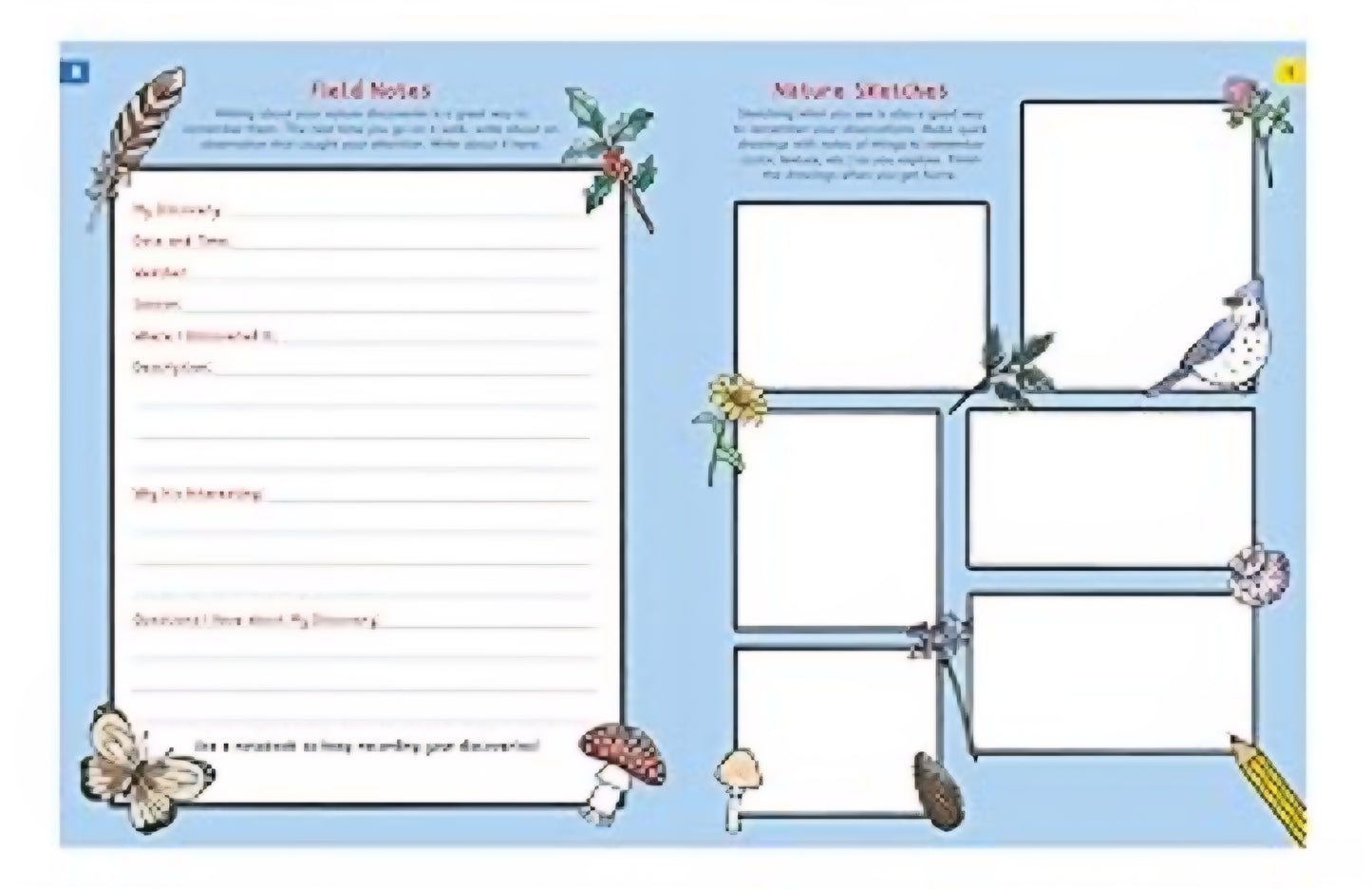 Nature Explorer's Activity Book