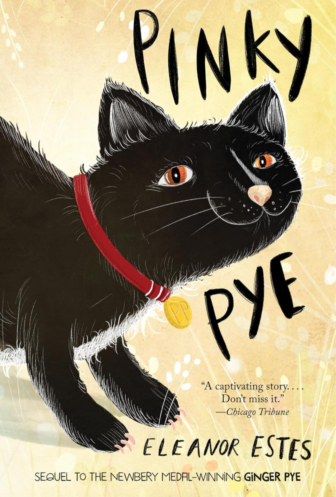 Pinky Pye | Eleanor Estes | Classic Children's Mystery & Animal Fiction | The Pyes Series Book 2|Paperback