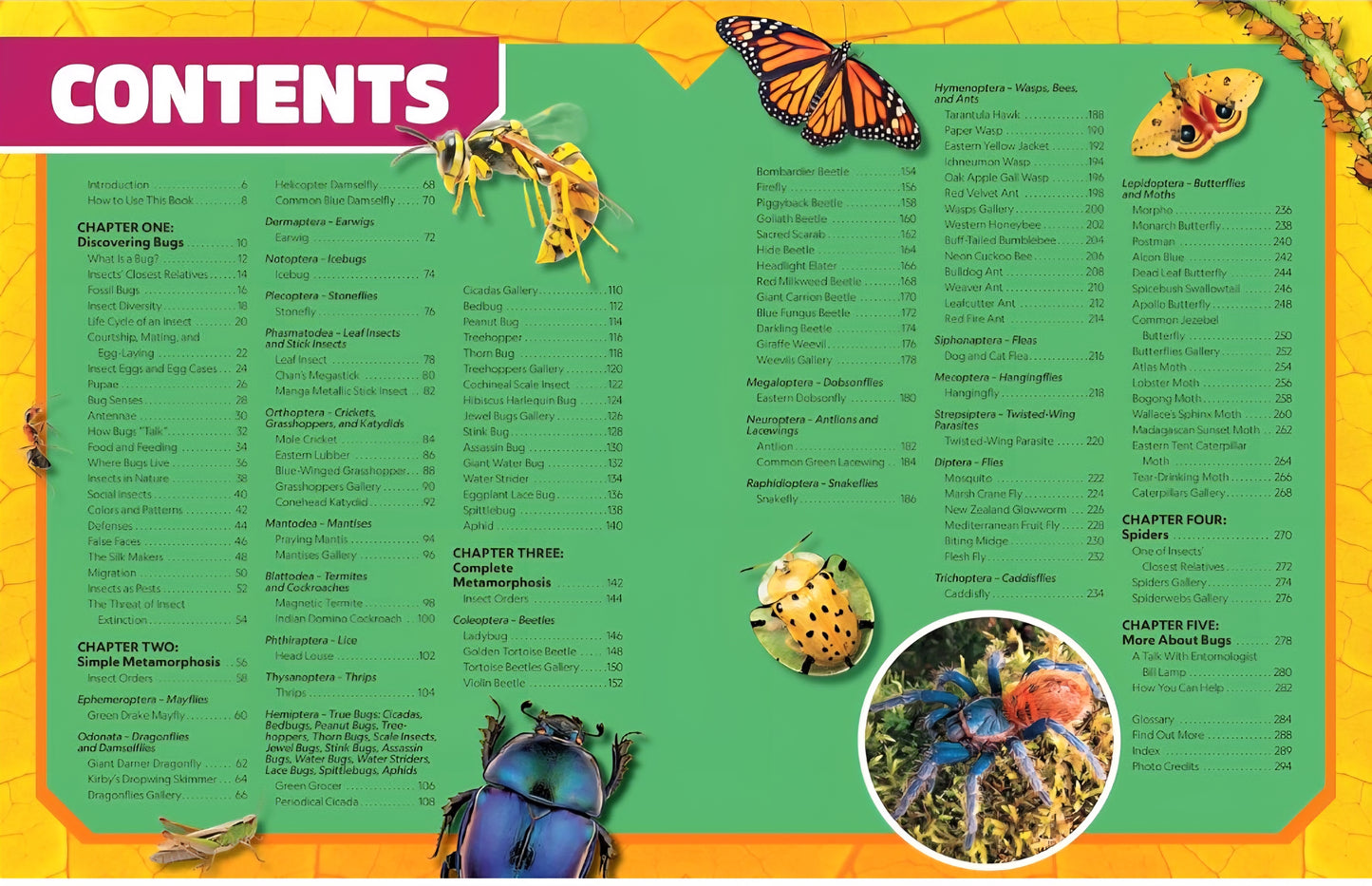 Insects and Bugs Book Bundle