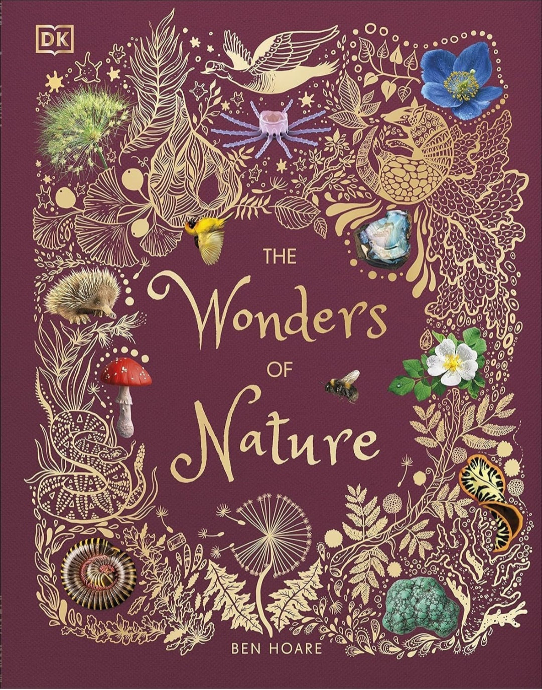 6 Book Anthology Set