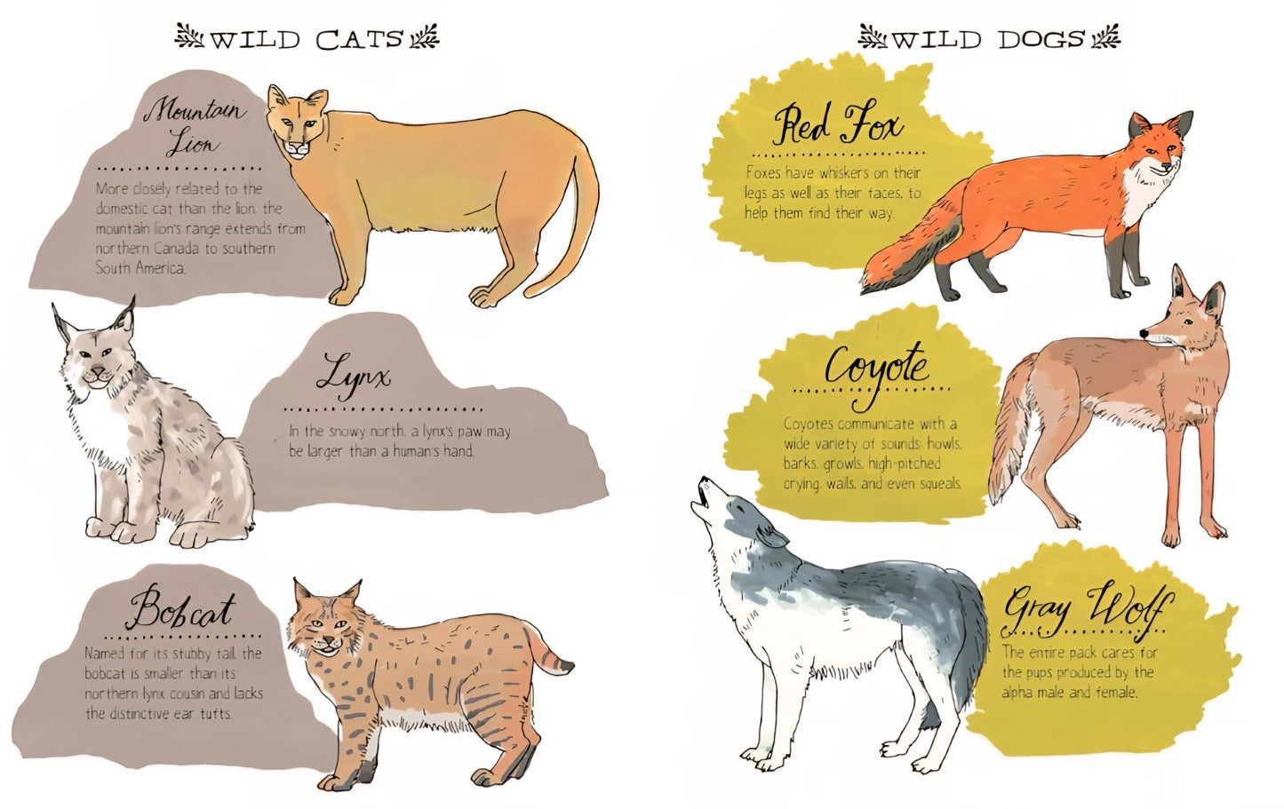 Nature Anatomy: The Curious Parts & Pieces Of The Natural World