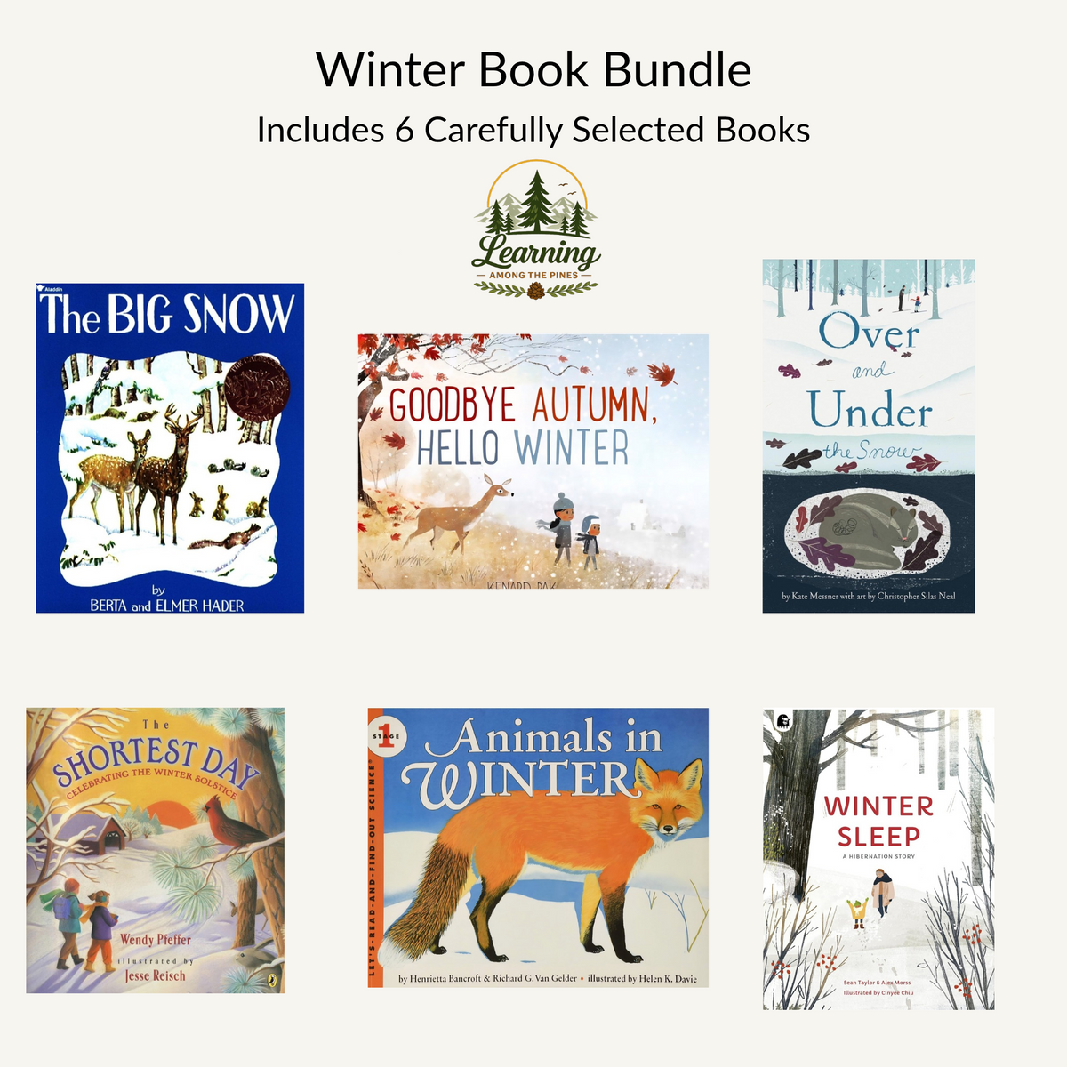 Winter Book Bundle| 6-Book Collection