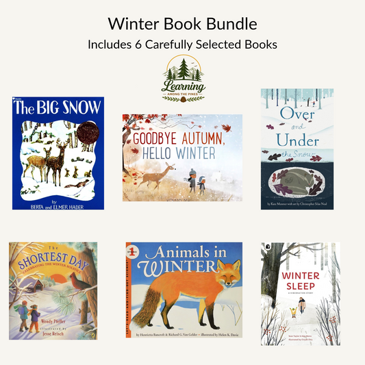 Winter Book Bundle| 6-Book Collection