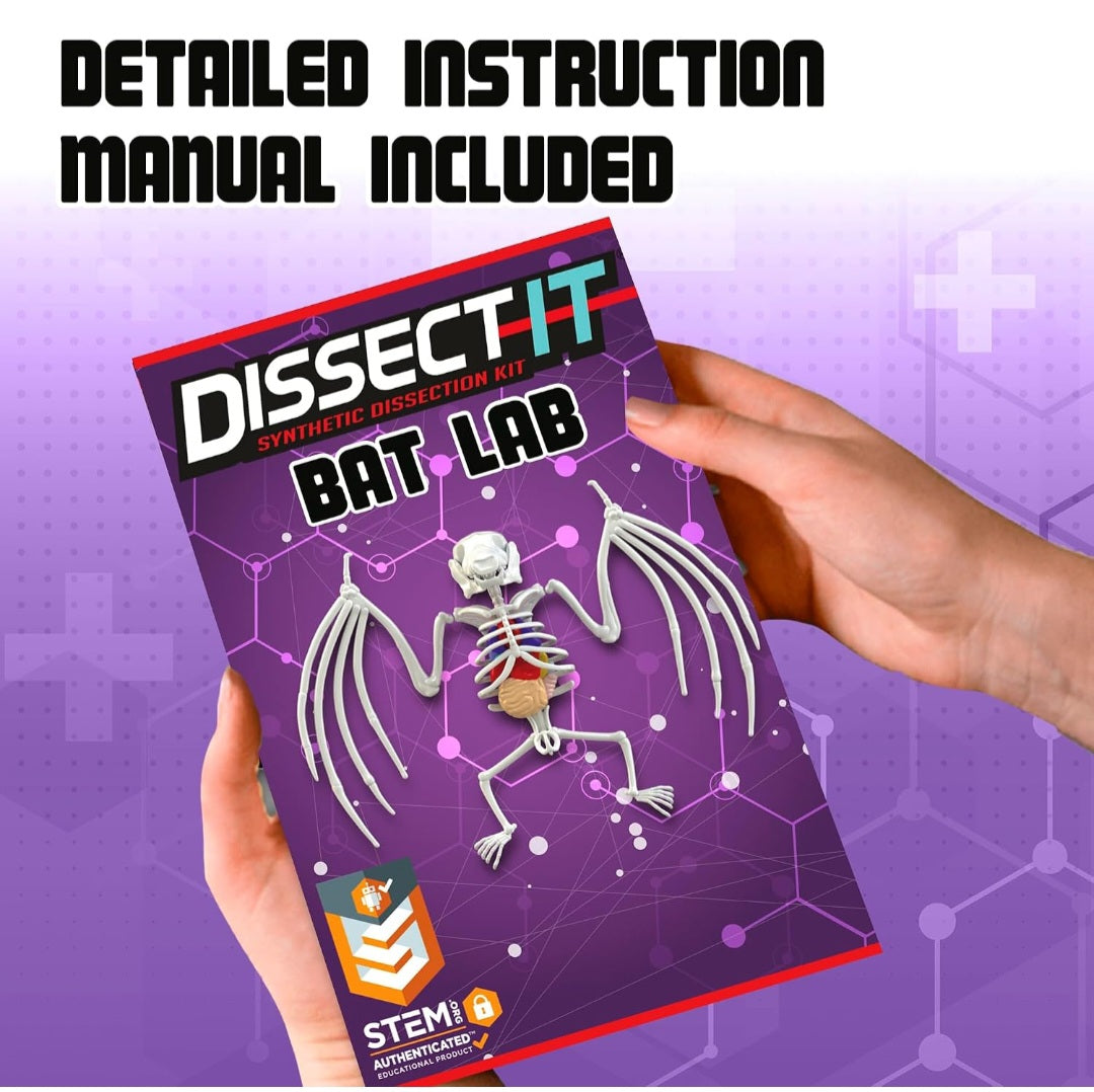 All Things Bats Study Kit