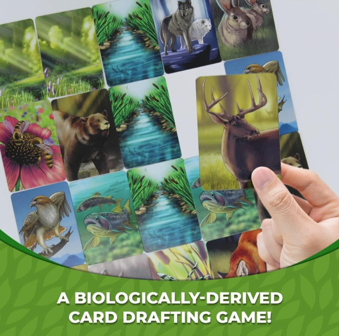 Ecosystem Card Game