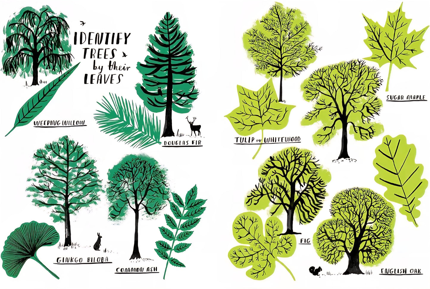 Hello Nature Activity Book