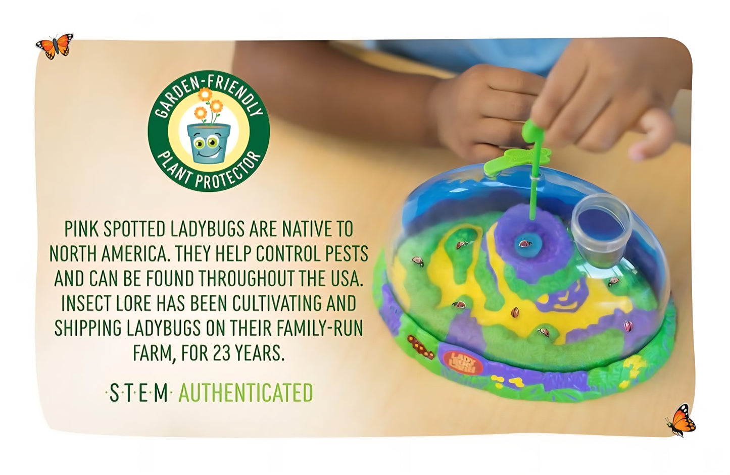 Insect Lore Ladybug Habitat With LIVE Ladybugs Project