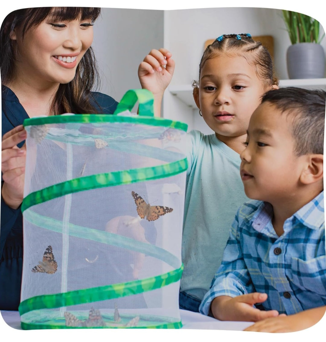 Insect Lore Caterpillar Habitat With LIVE Caterpillars Project