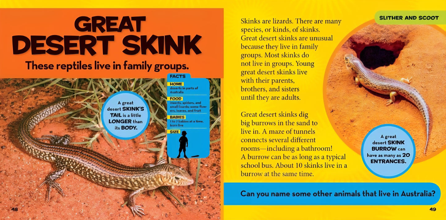 Reptiles & Amphibians Book Bundle