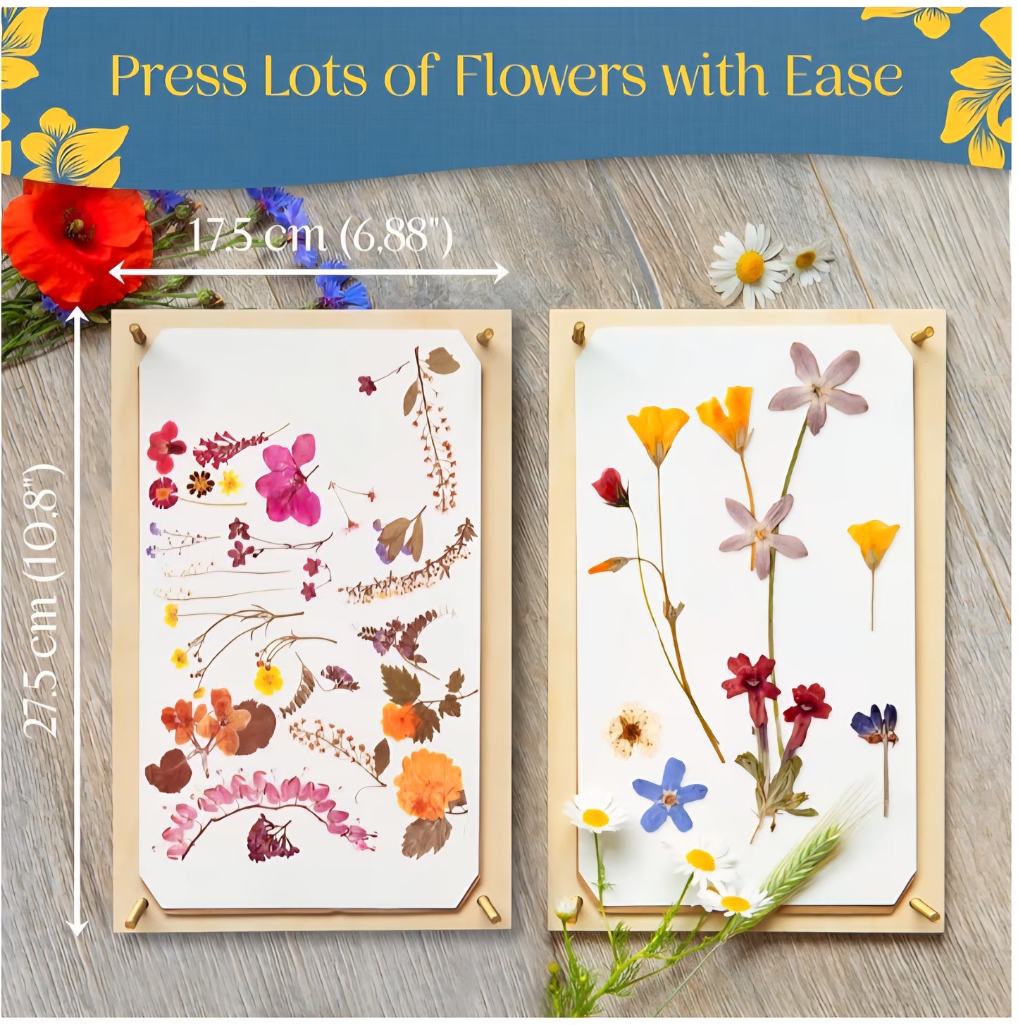 Wildflower Study Kit