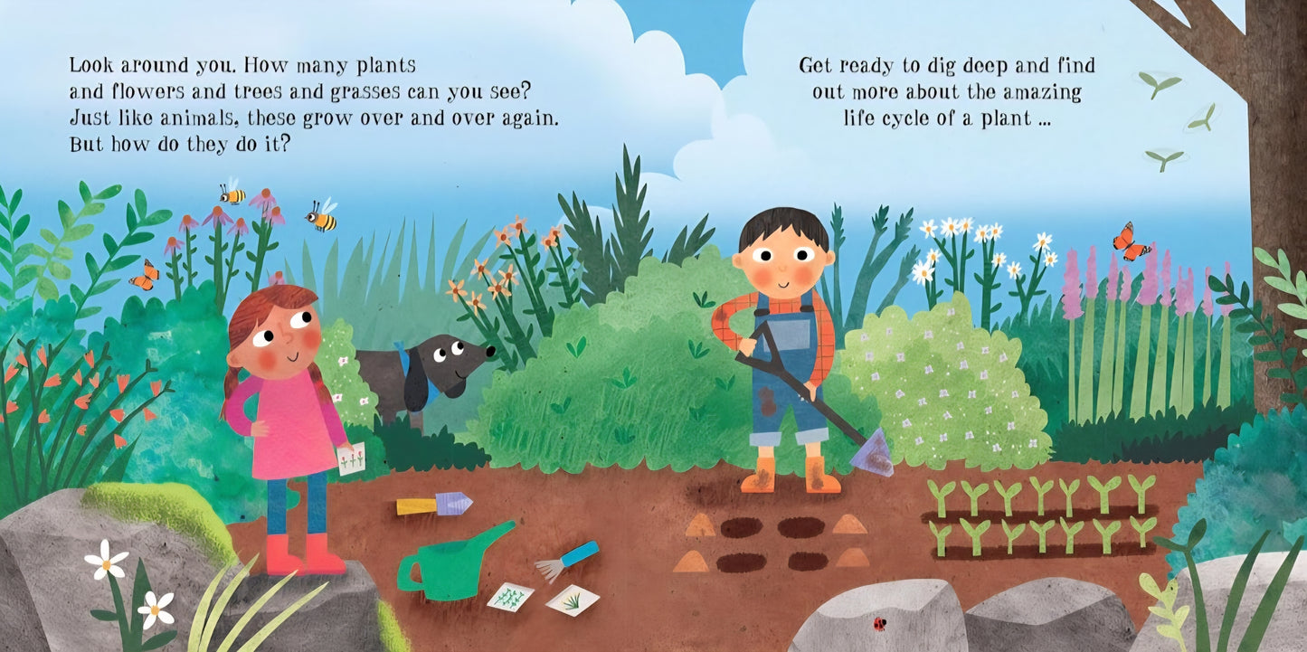 Life Cycles Book Bundle