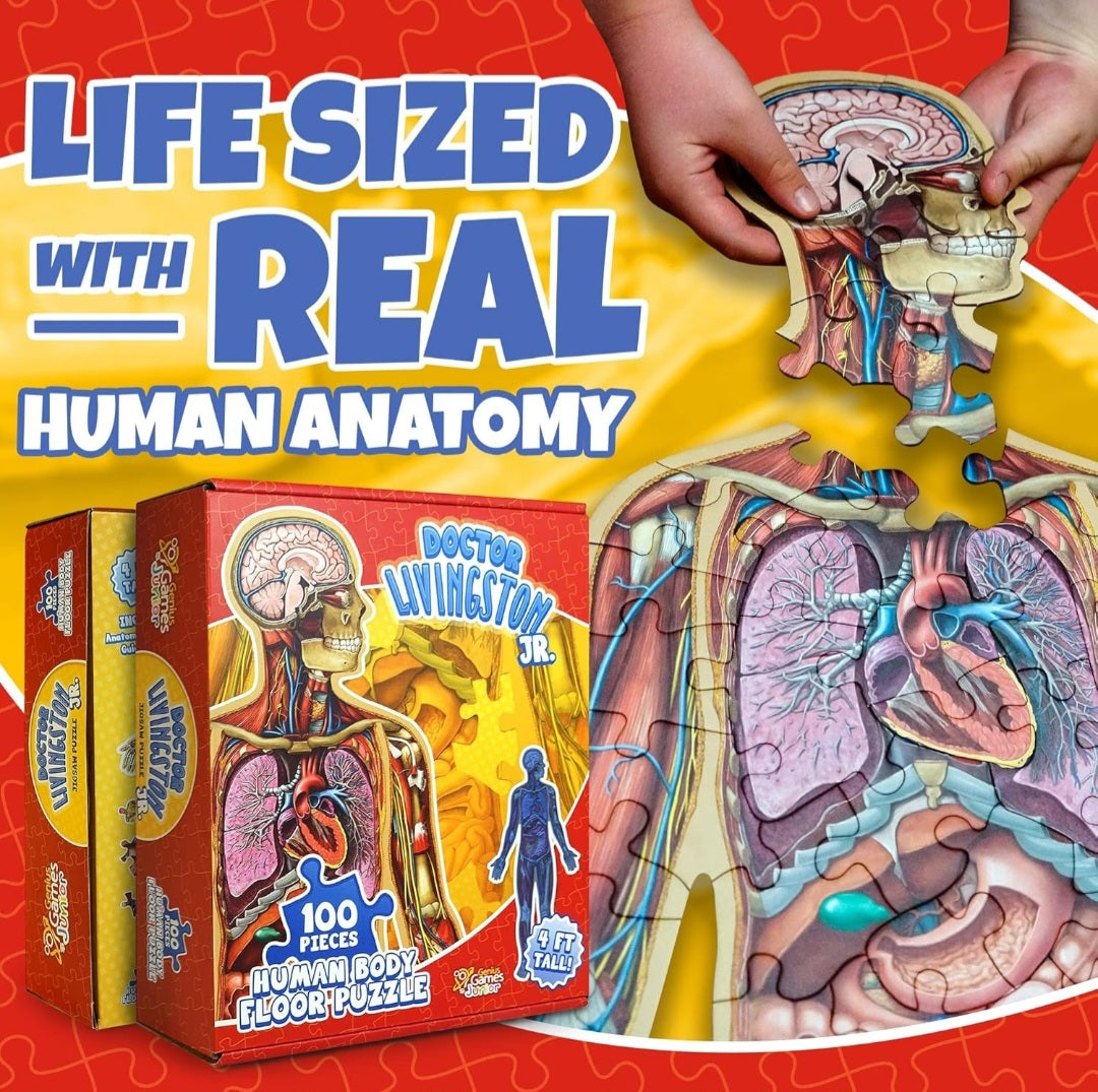 Human Body Study Kit