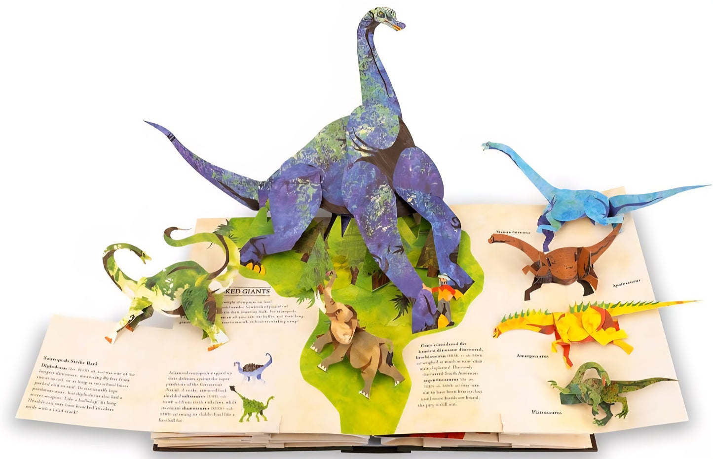Dinosaur Study Kit