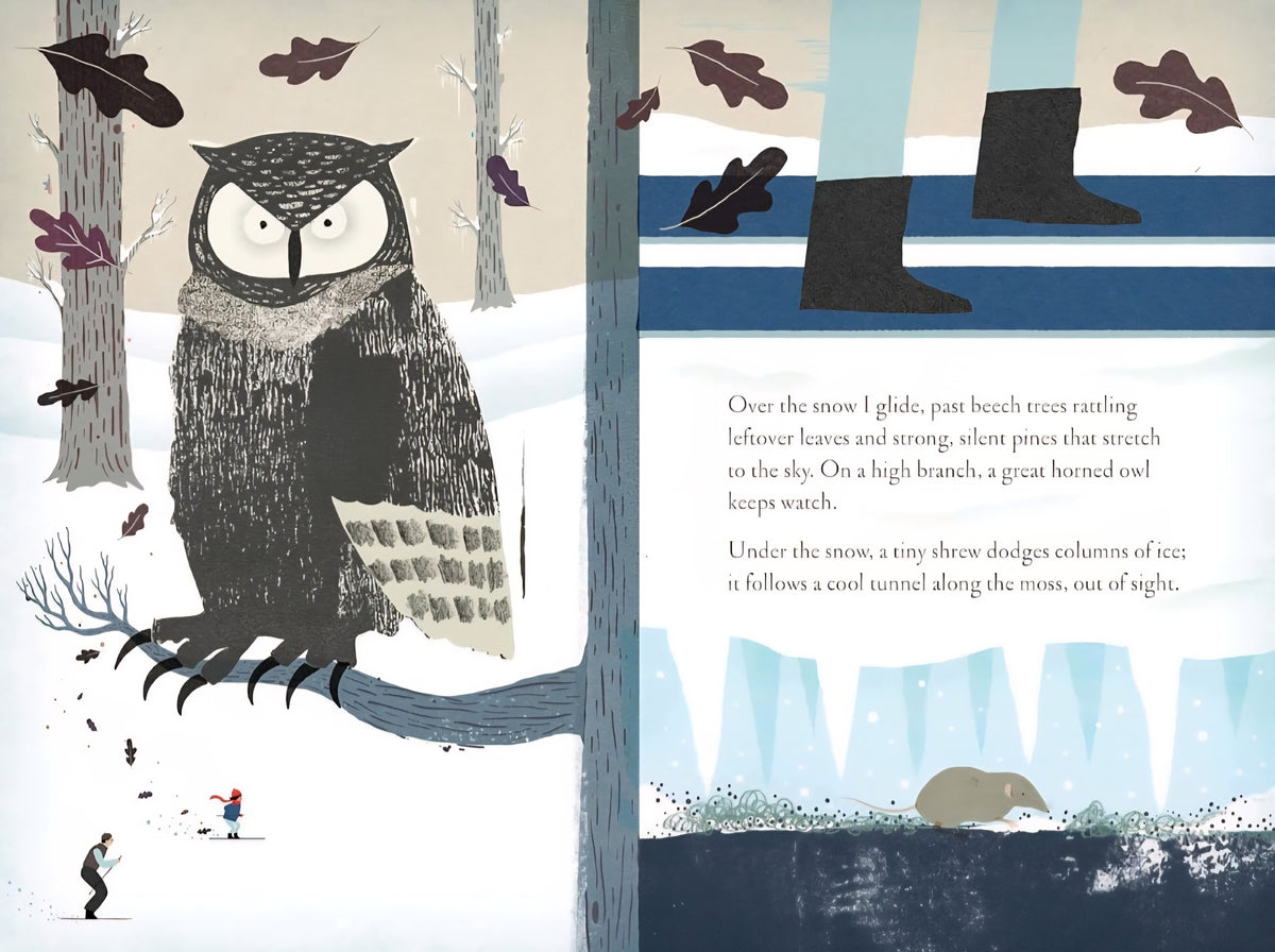 Over and Under the Snow|Paperback