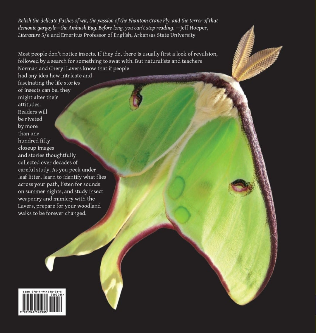 100 Insects of Arkansas and the Midsouth: Portraits & Stories