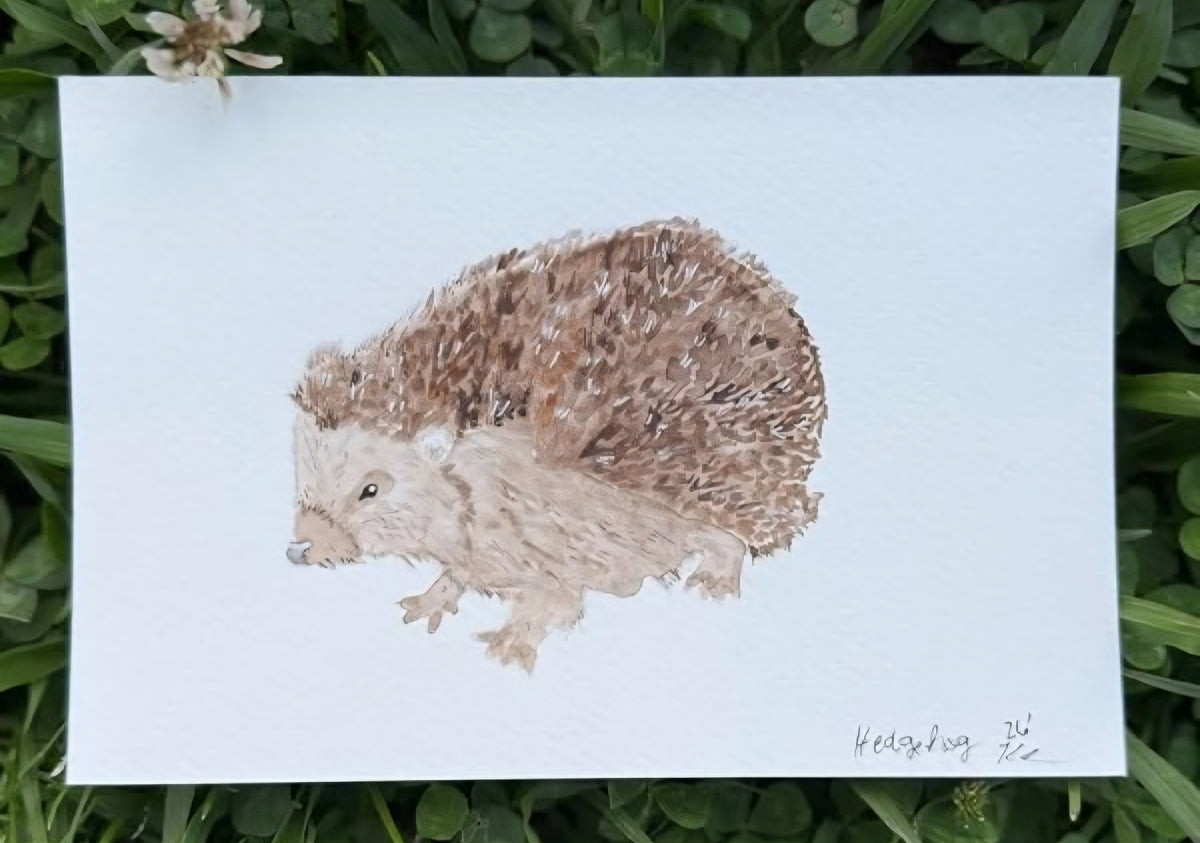 Watercolor in the Woods| Guided Nature Art & Watercolor Activity Book