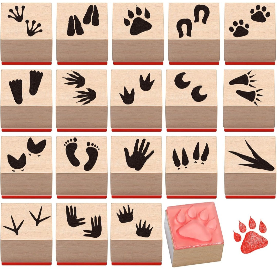 Animal Tracks Study Kit