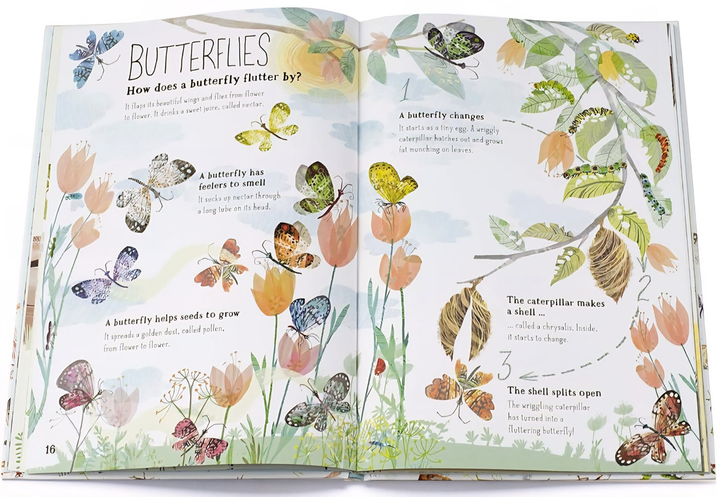 The Big Book Of Bugs