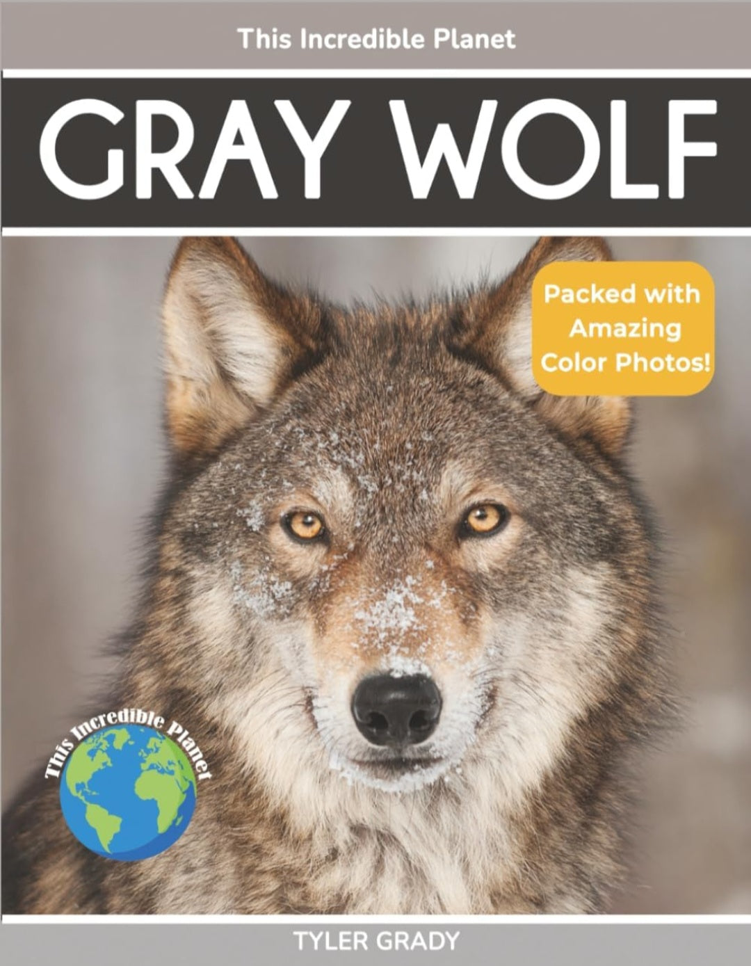 Wild Animals 3 in 1 Build and Learn Kit|Gray Wolf, Falcon, Raccoon