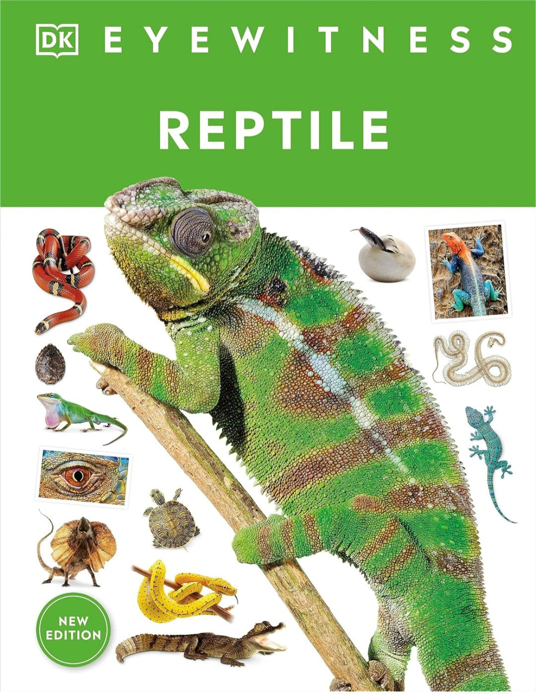 Eyewitness Reptile|Hardcover