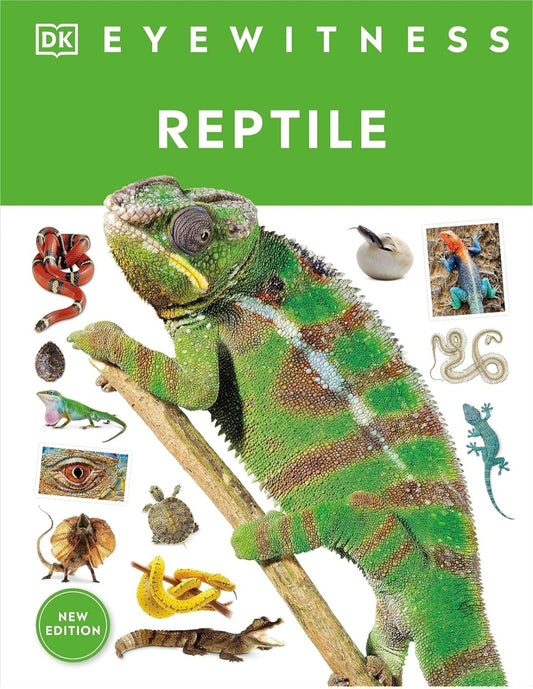 Eyewitness Reptile|Hardcover