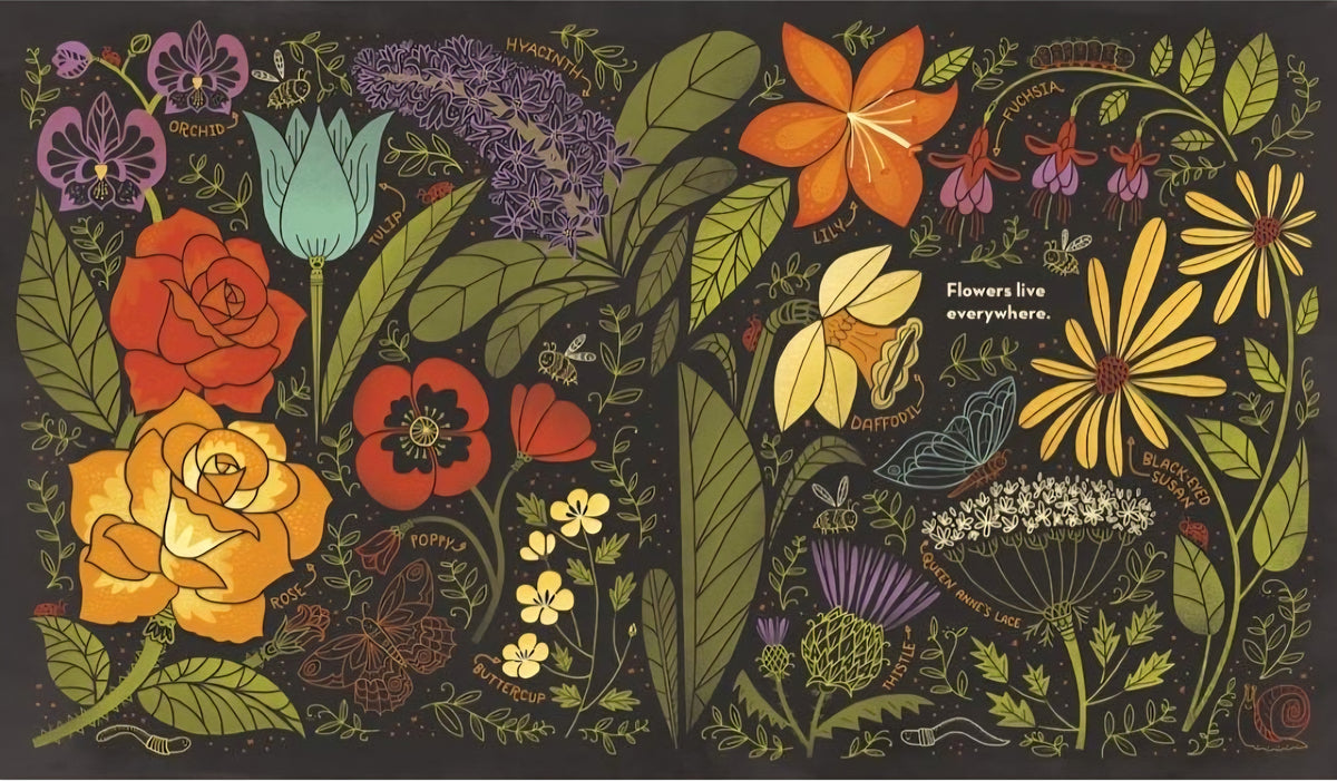 What's Inside? Nature & Life Cycles Book Bundle | 3 Illustrated Science Books by Rachel Ignotofsky|Paperback or Hardcover