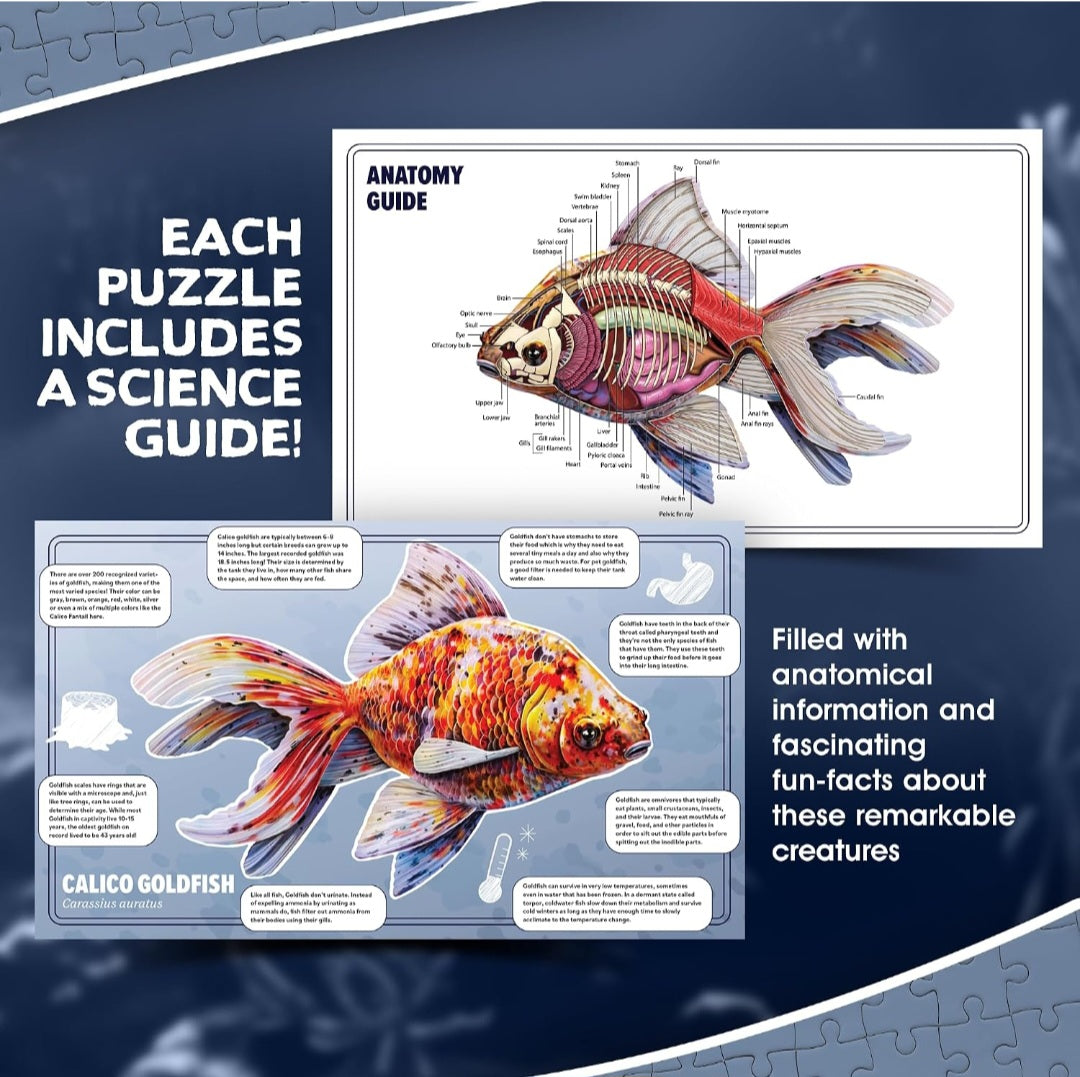 Goldfish Animal Anatomy Floor Puzzle|100-Piece Double-Sided Puzzle