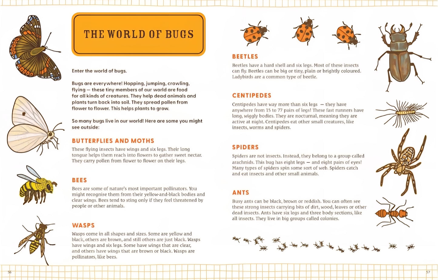 Explorers Guided Nature Journal