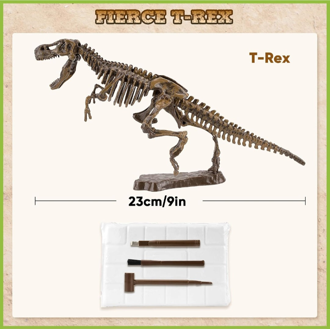 Dinosaur Study Kit