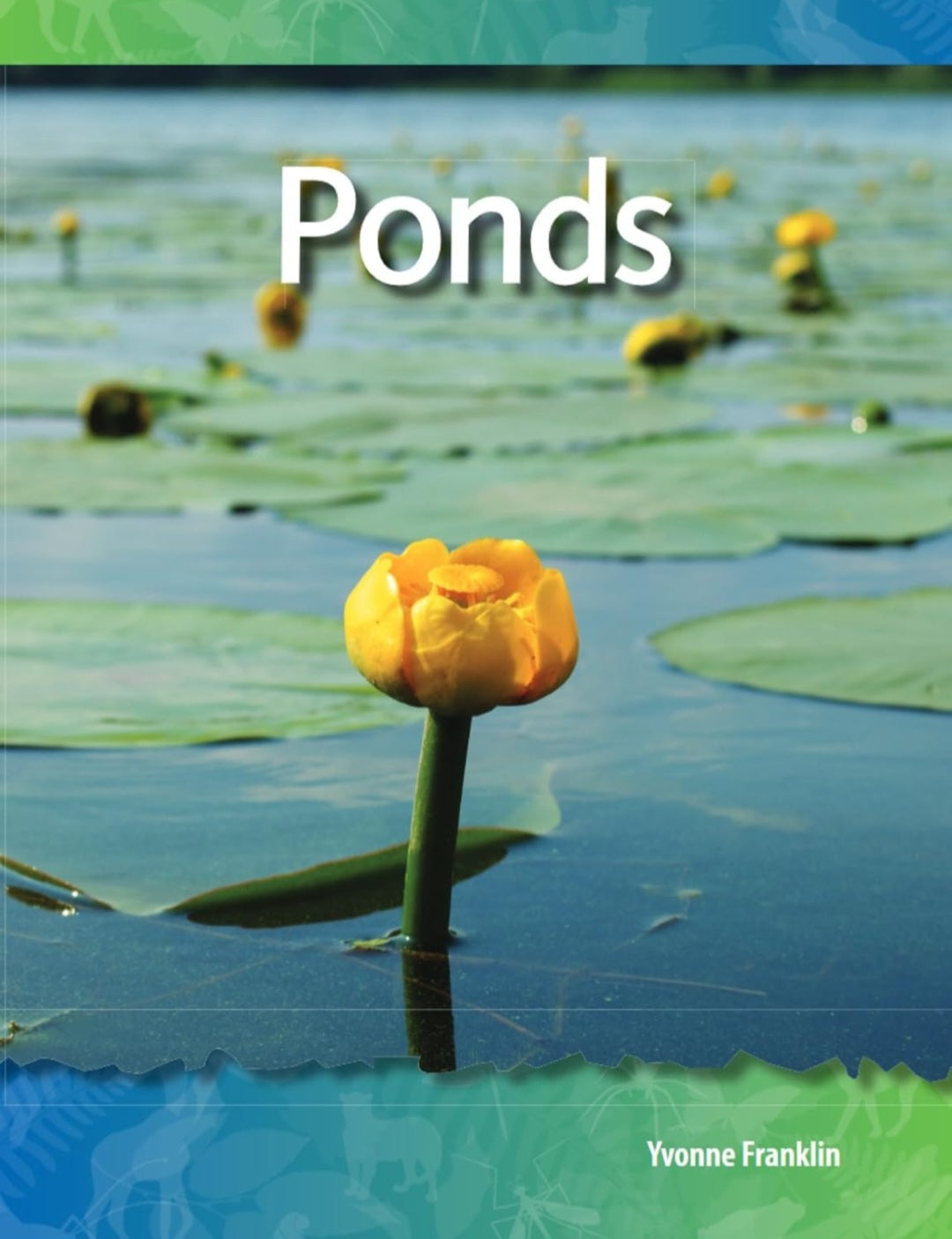 Pond Study Kit