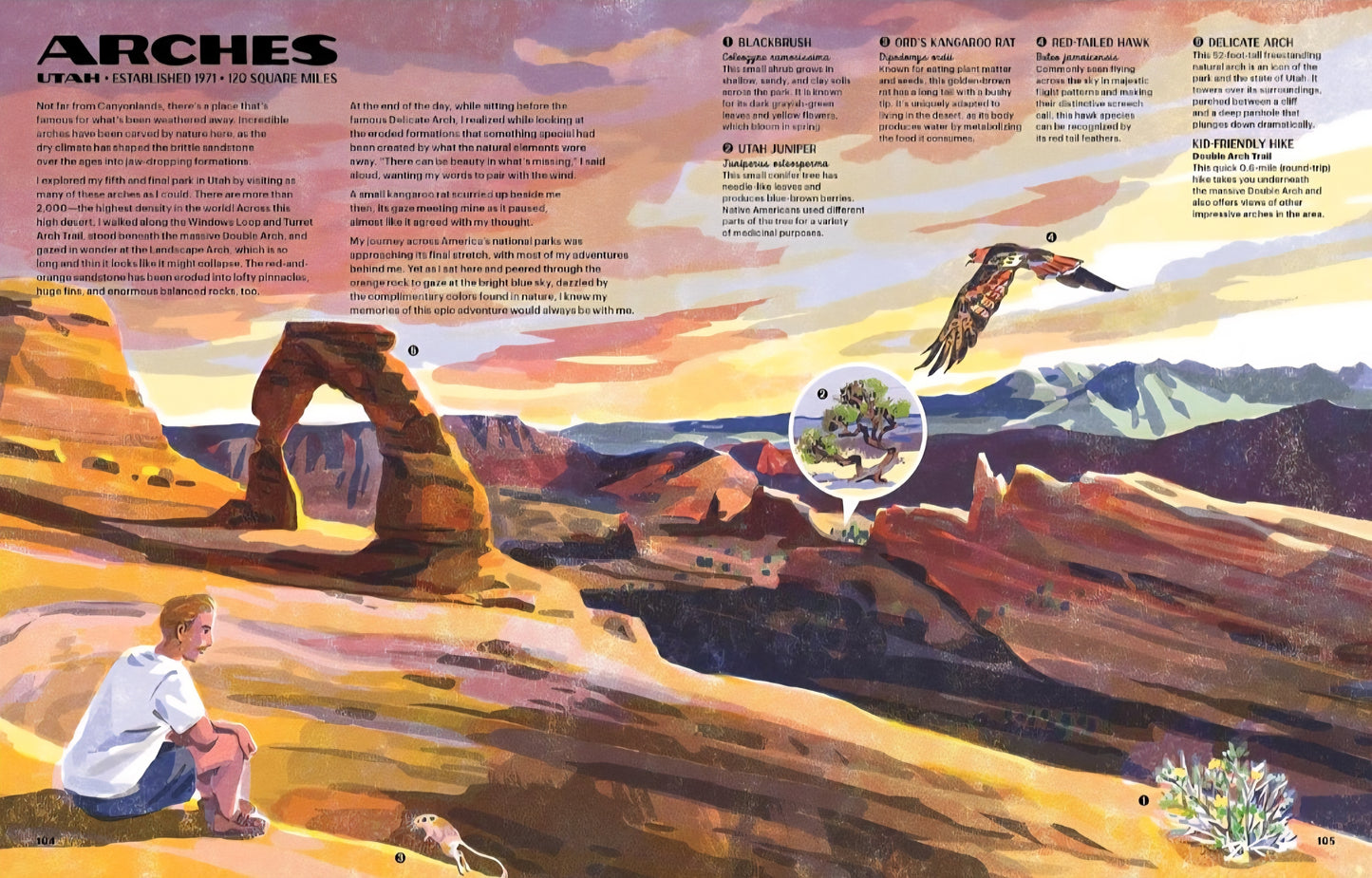 National Parks Book Bundle