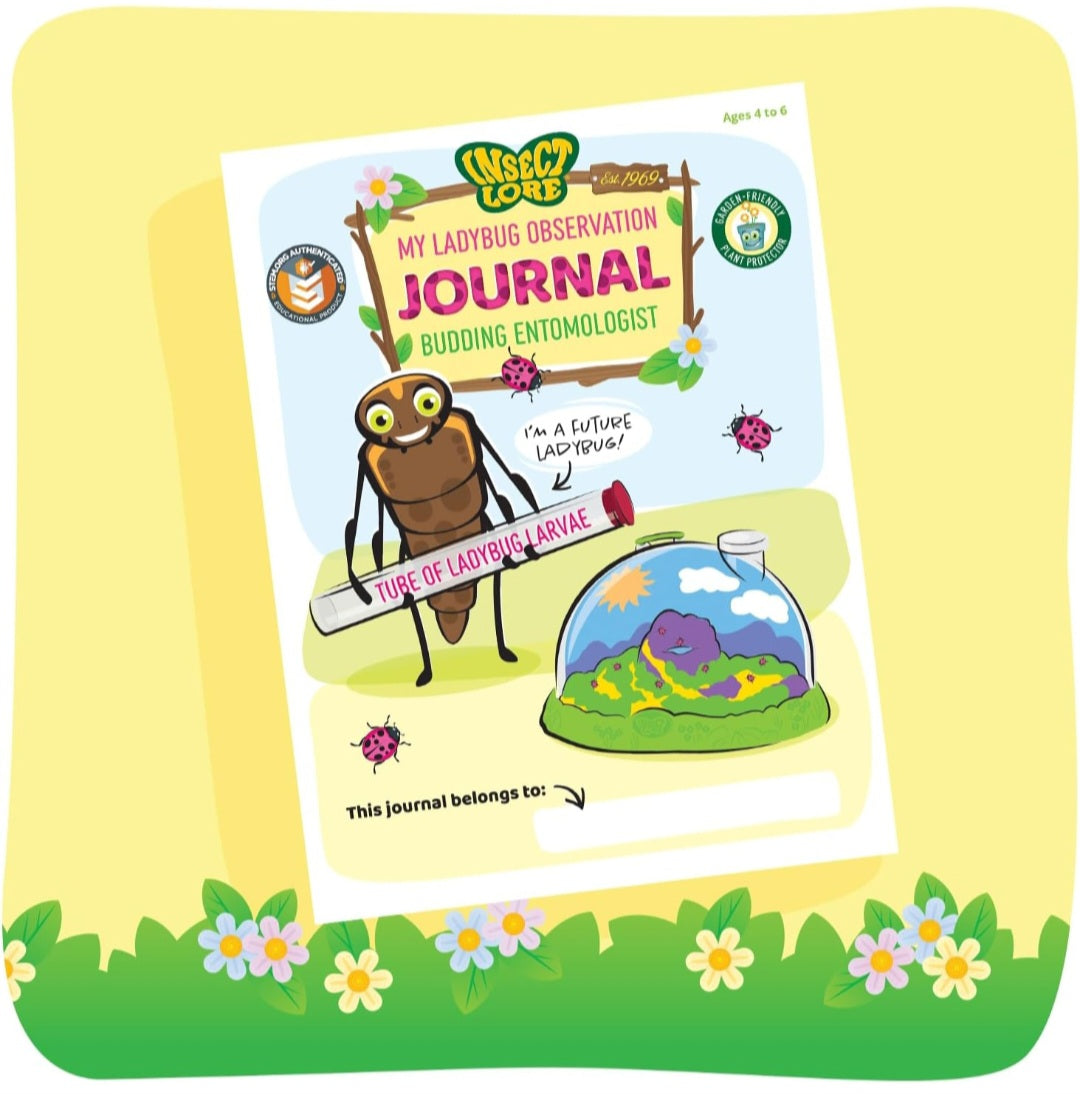 Insect Lore Ladybug Habitat With LIVE Ladybugs Project