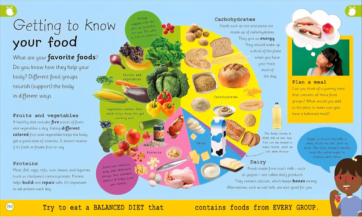 Human Body Study Kit