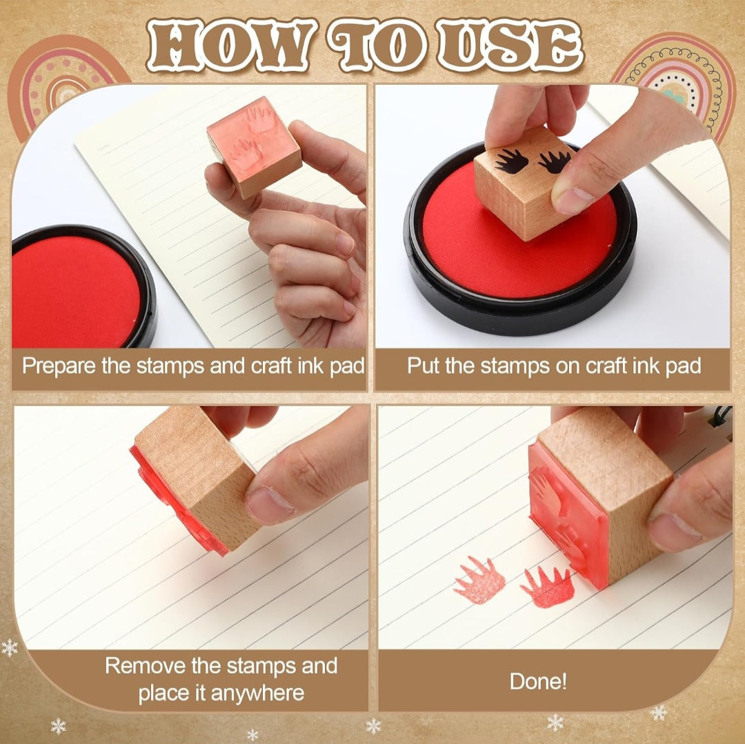Animal Tracks Study Kit
