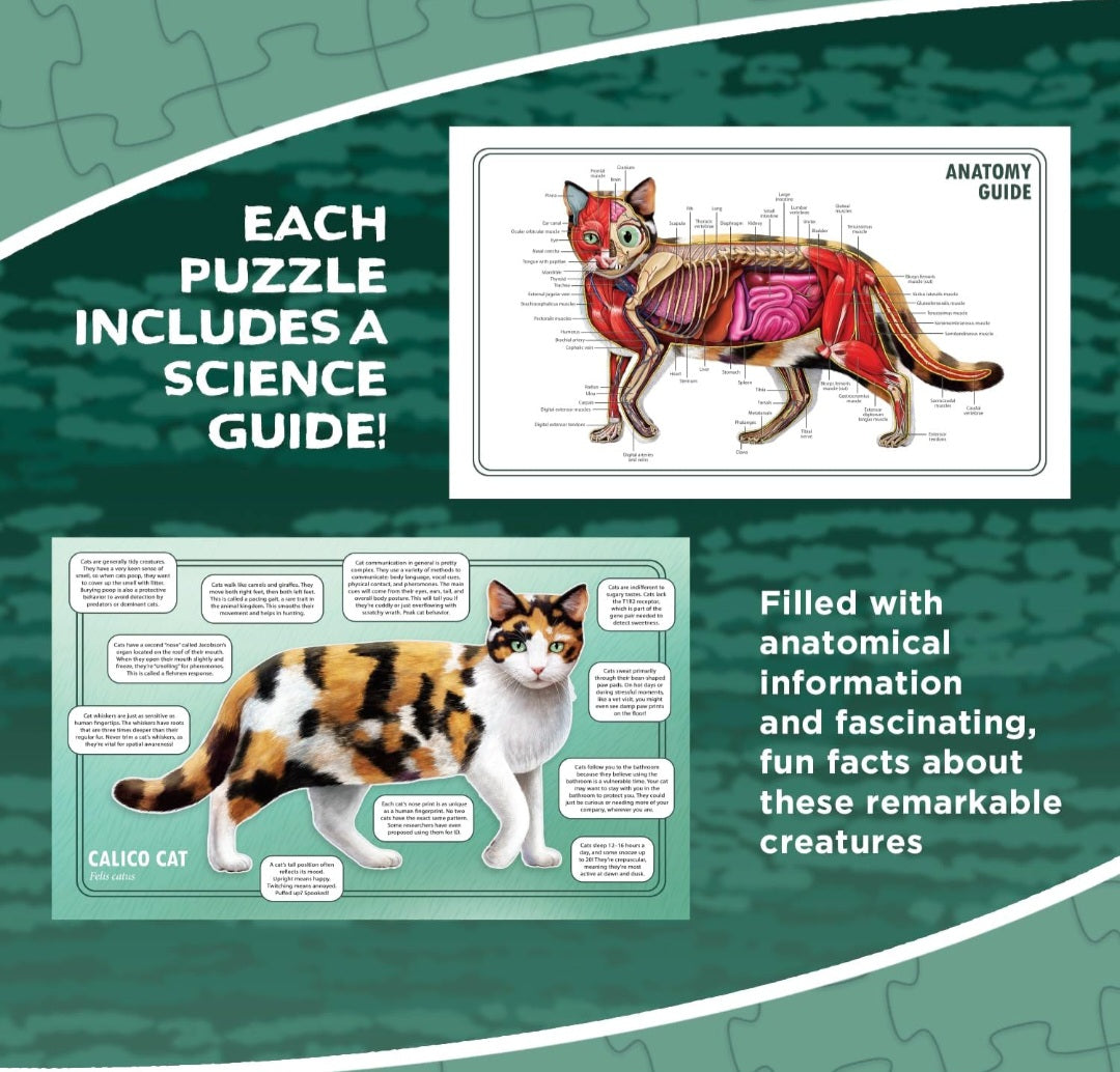Cat Animal Anatomy Floor Puzzle|100-Piece Double-Sided Puzzle