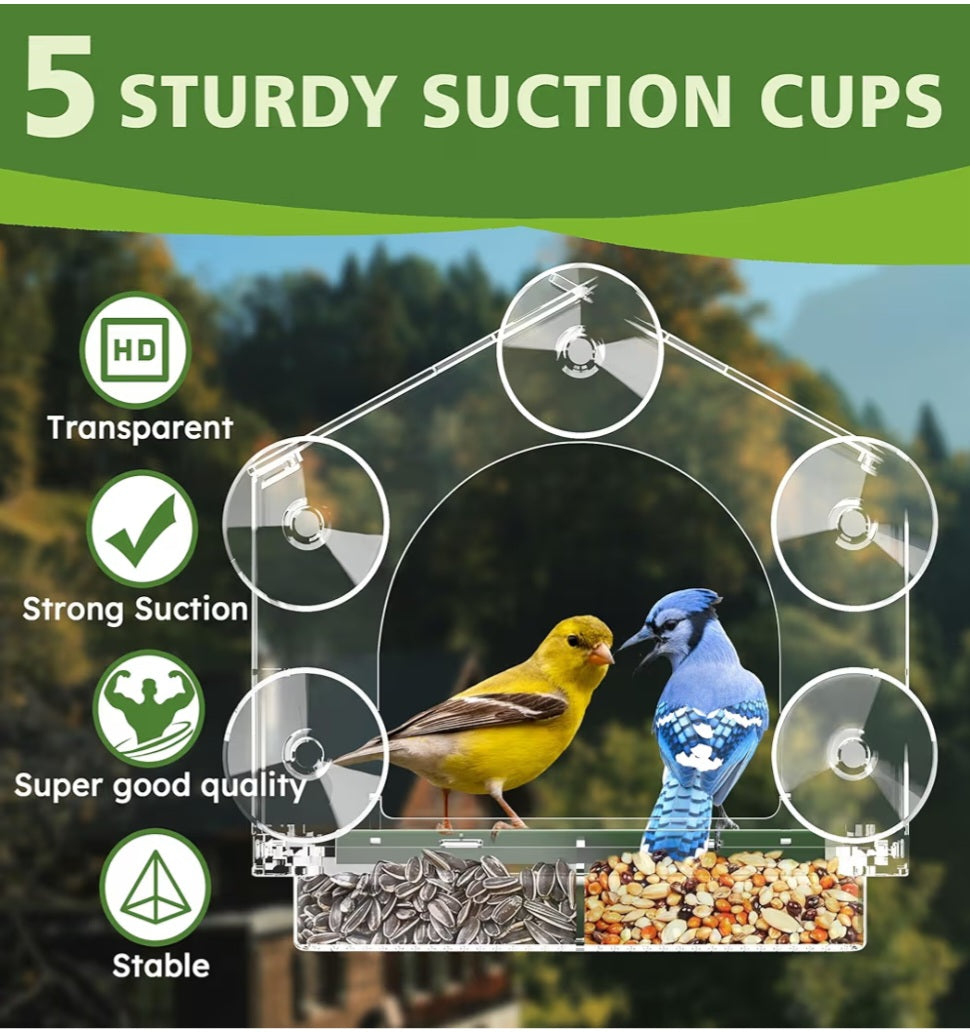 Backyard Bird Study Kit