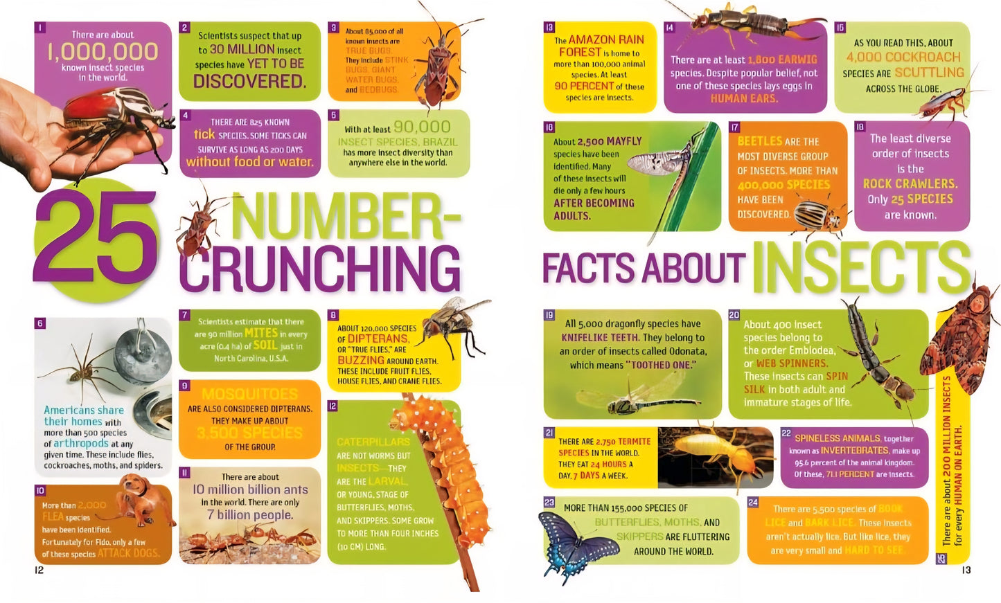 Insects and Bugs Book Bundle