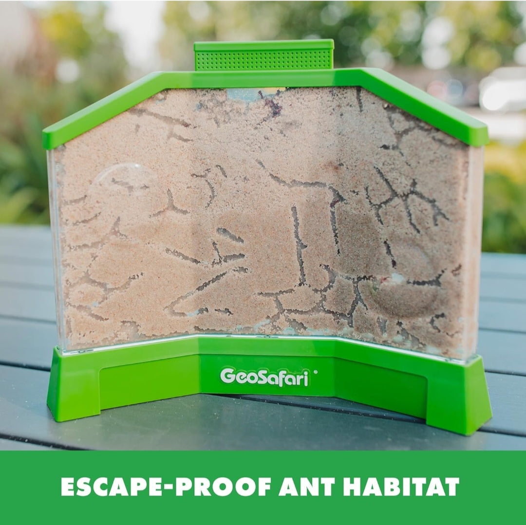 GeoSafari Ant Habitat With LIVE Ants Project