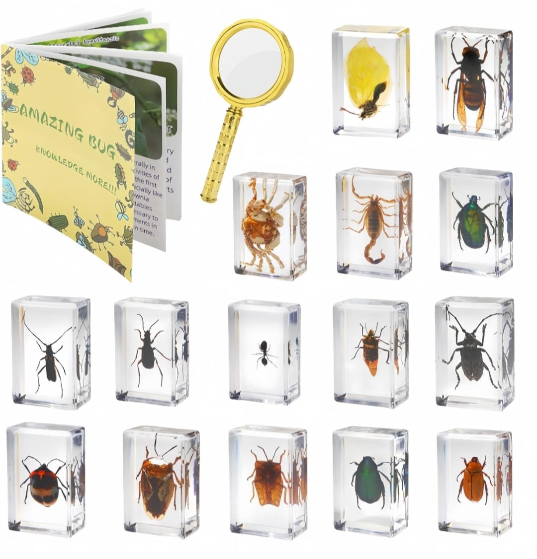 15 Piece Insect Specimens in Resin