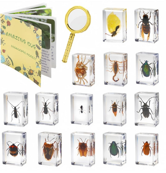 15 Piece Insect Specimens in Resin