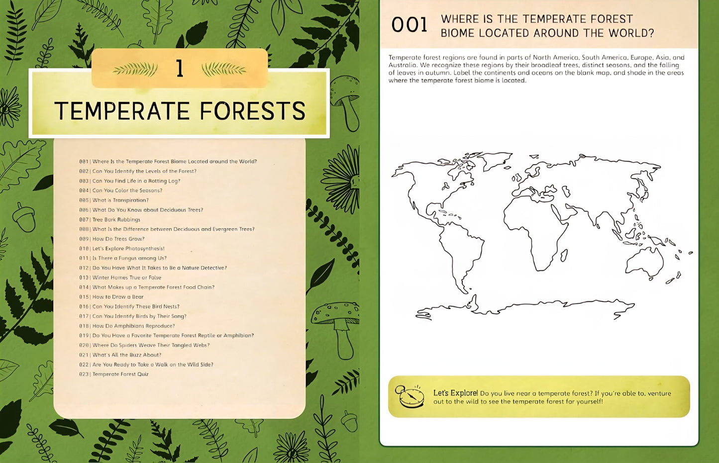 Nature School Activity Book