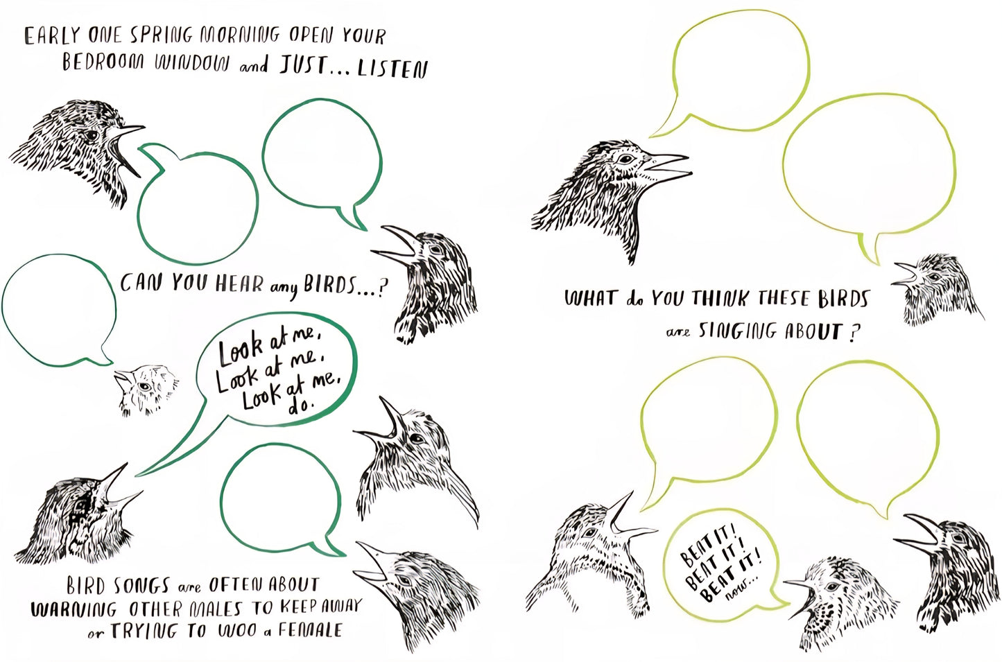 Hello Nature Activity Book
