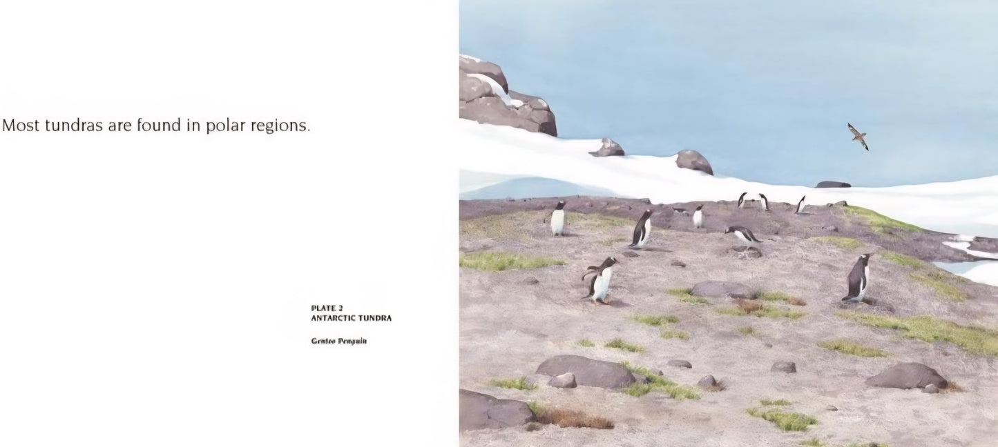 Animal Habitats Book Bundle