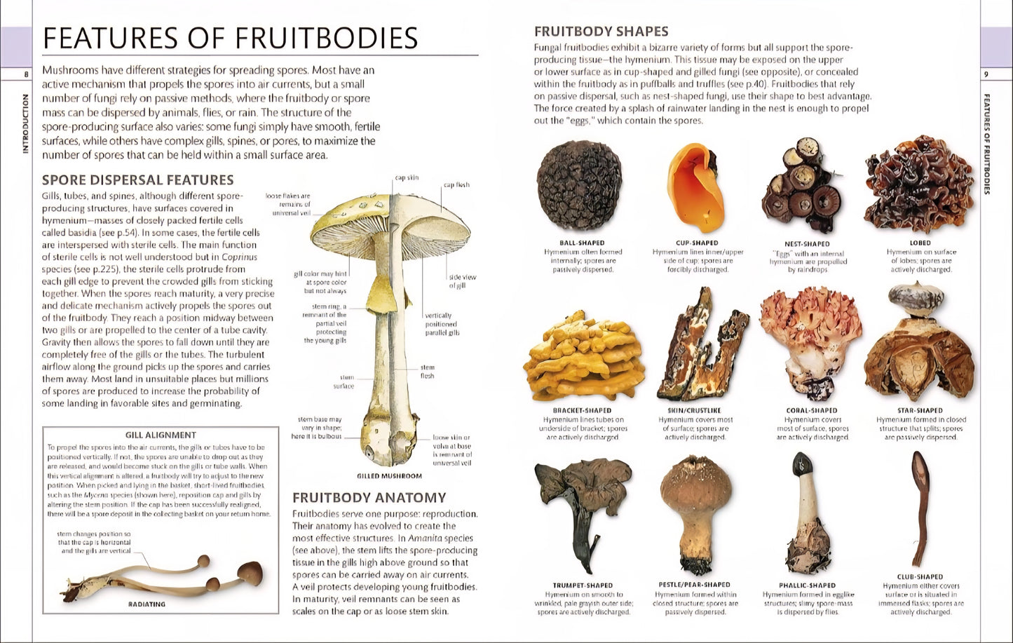 Mushrooms & Fungi Book Bundle